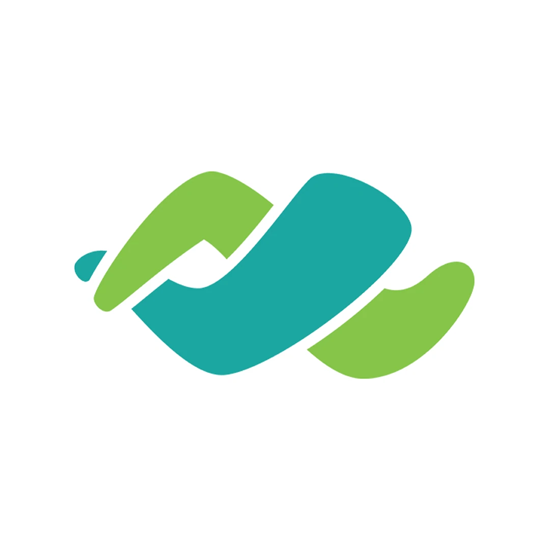 Access Networks